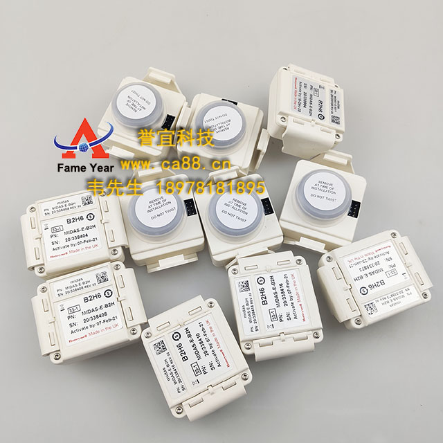 HONEYWELL 霍尼韦尔MIDAS-E-B2H 传感器盒 Diborane B2H6