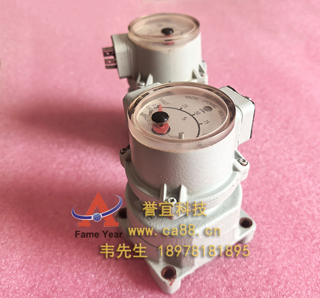 OVAL VALVE ����ָʾ��NPI45B30  364cc